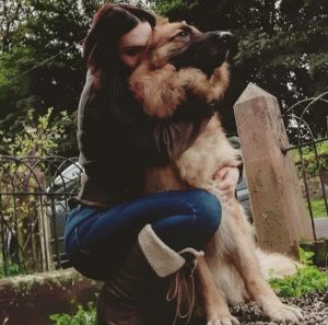 dog training 5 dog training 5