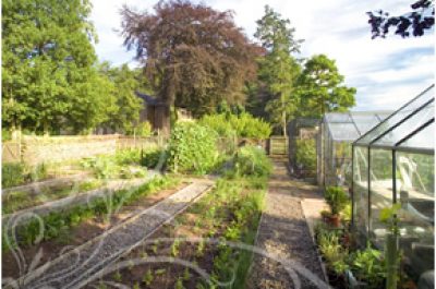 photo-organicgarden